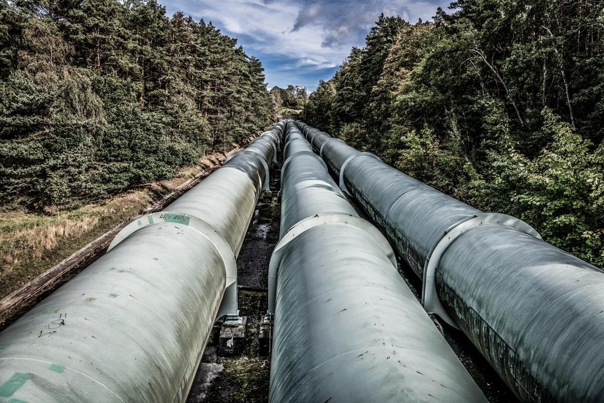 Pipelines running through northern forest