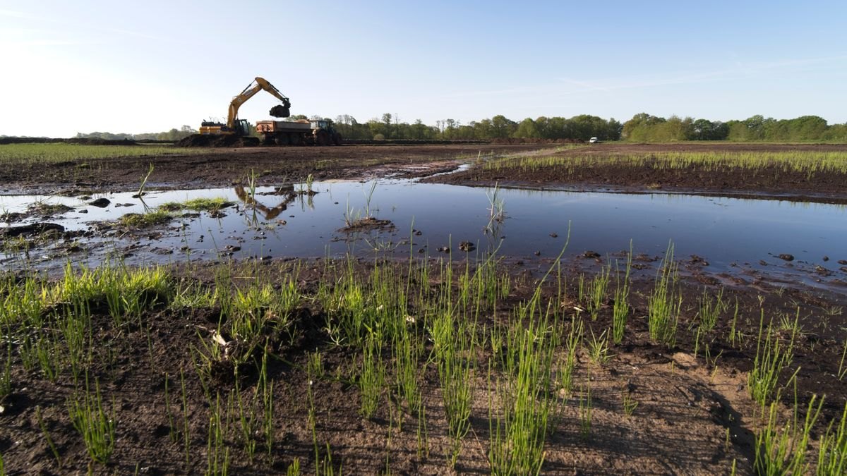 Excavator working on a land reclamation site
